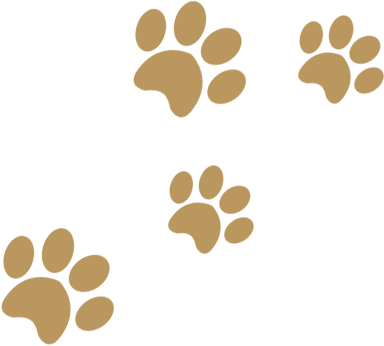 A green and brown background with four dog paw prints.