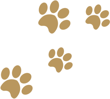 A green and brown background with four dog paw prints.