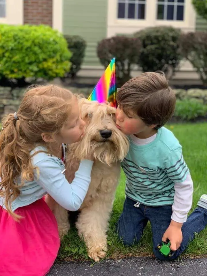 Two children are petting a dog with a party hat on.